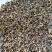 羊肚菌，精品秦岭羊肚菌
