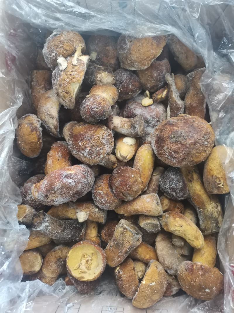 速冻黄牛肝菌