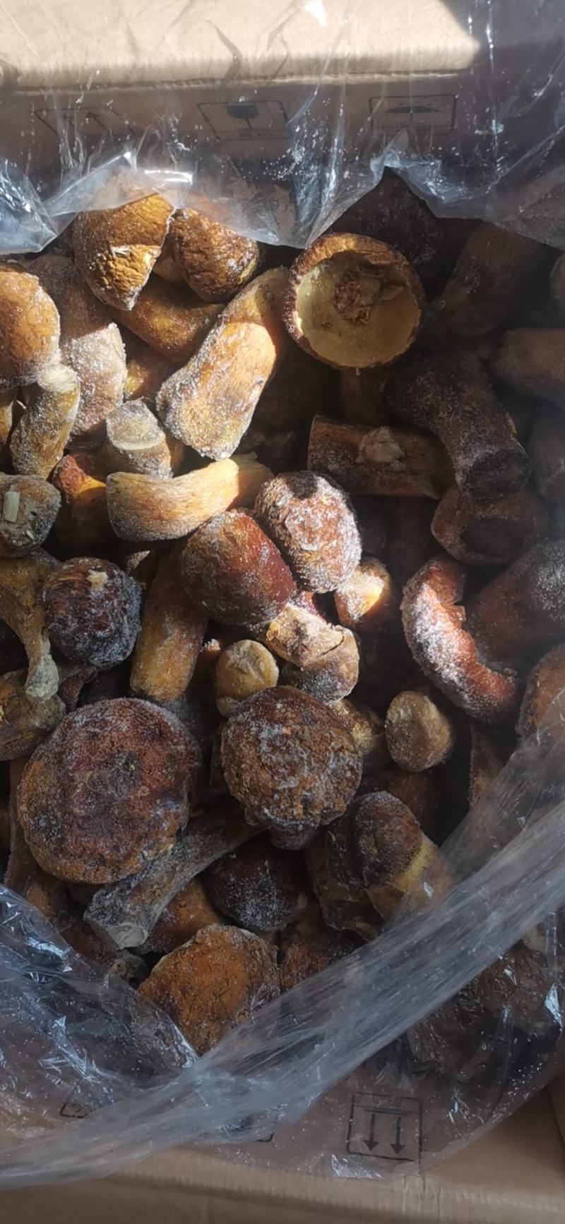 速冻黄牛肝菌