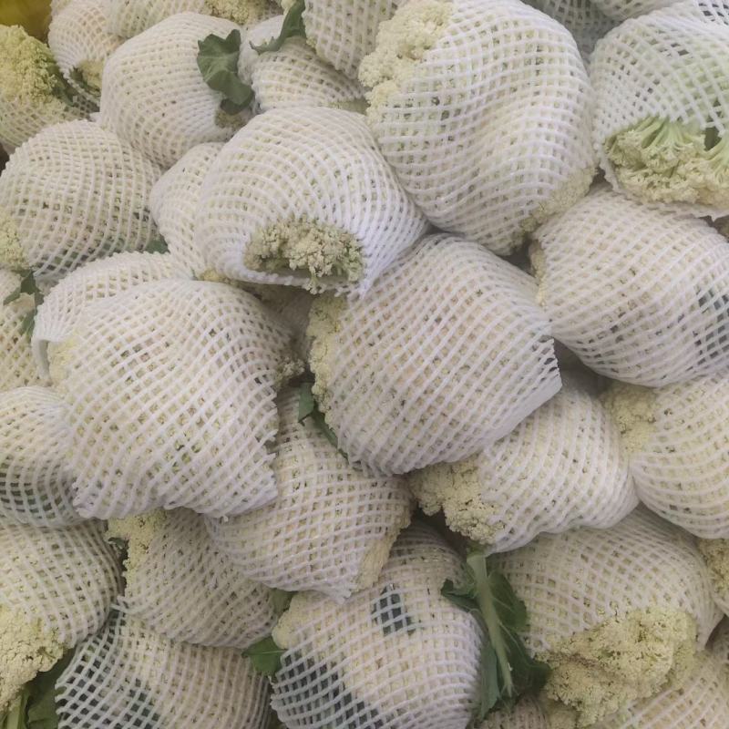 精品散花