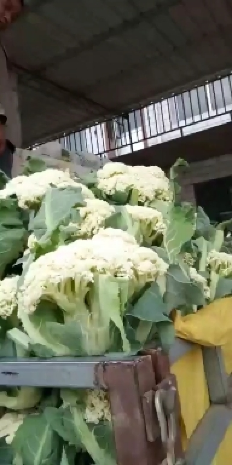 精品散花