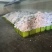 精品散花