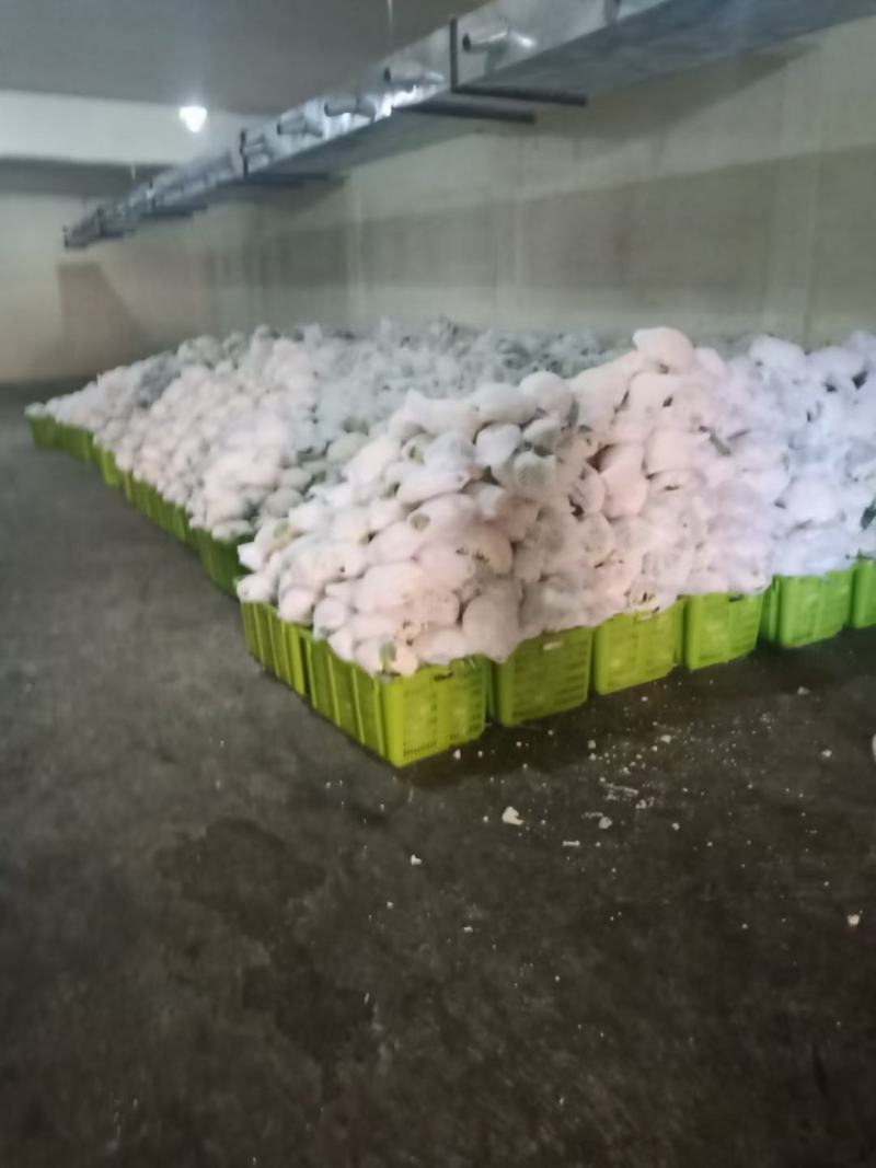 精品散花