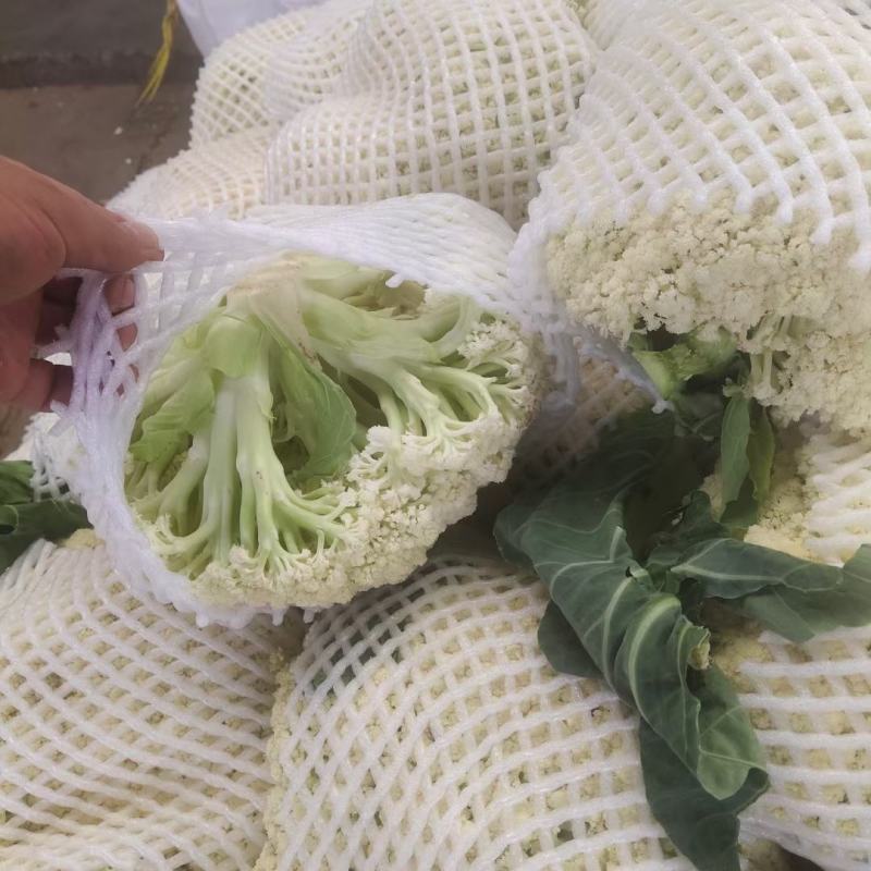 精品散花