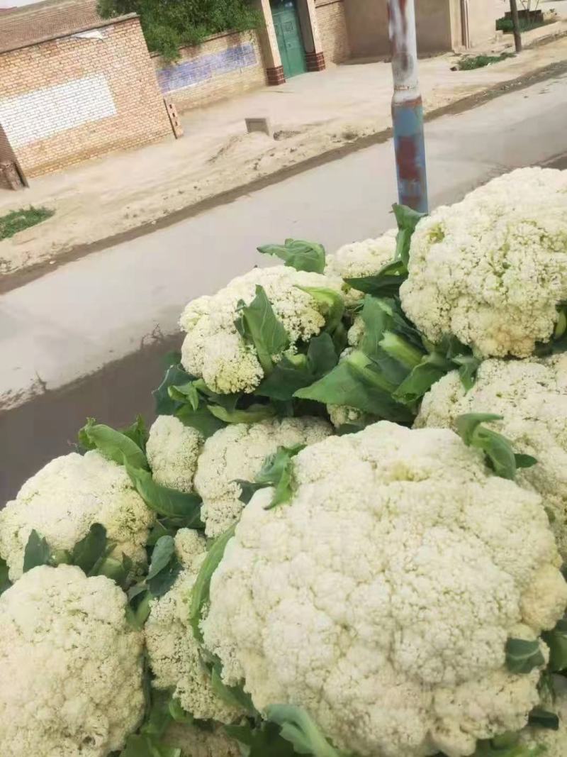 精品散花