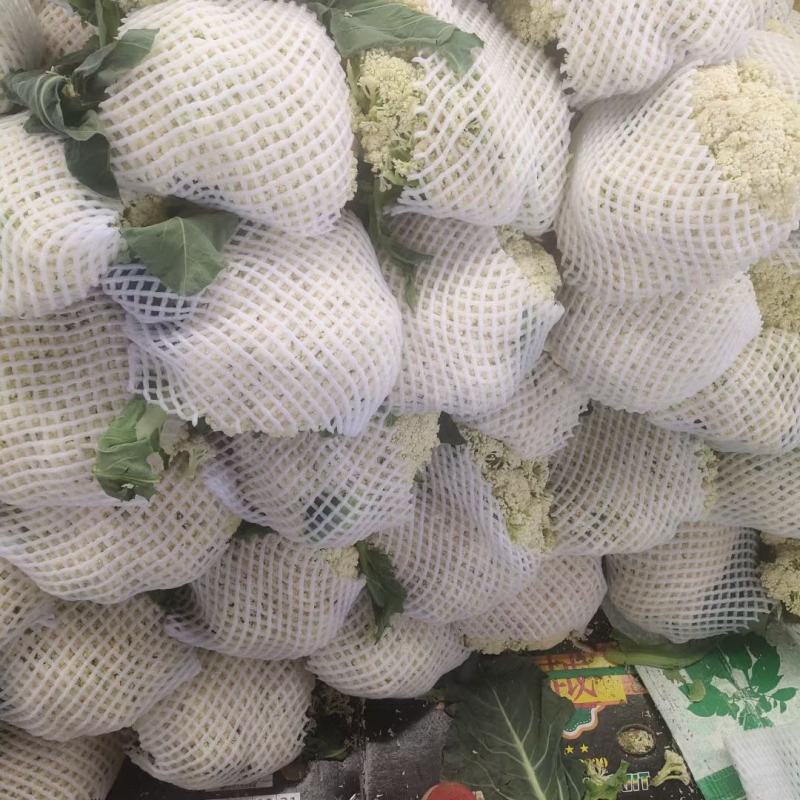 精品散花