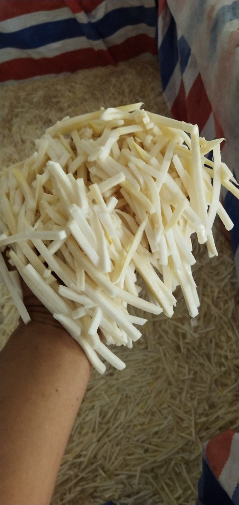 竹笋大量上市，合适做螺丝粉配料，水煮甜笋，酸笋，笋片