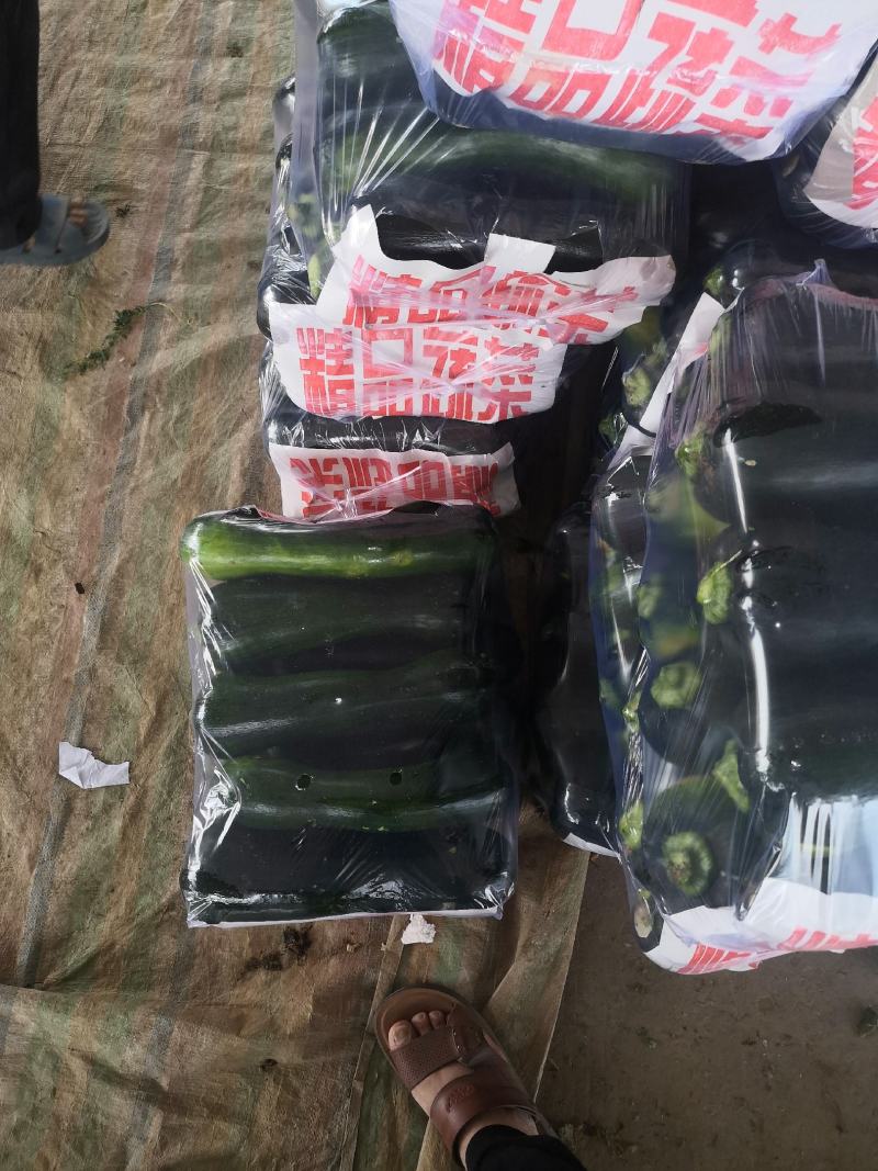 黑青皮菜南瓜，本地人称为小北瓜，全国发货！