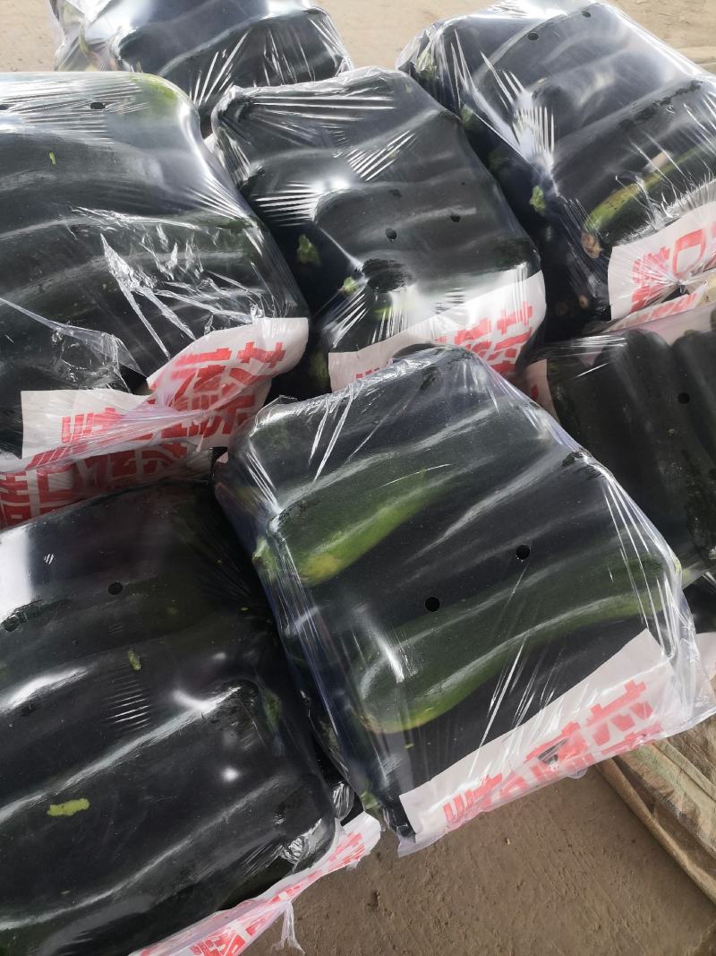 黑青皮菜南瓜，本地人称为小北瓜，全国发货！