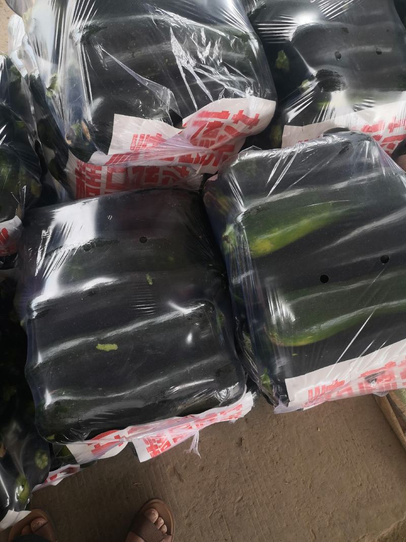 黑青皮菜南瓜，本地人称为小北瓜，全国发货！