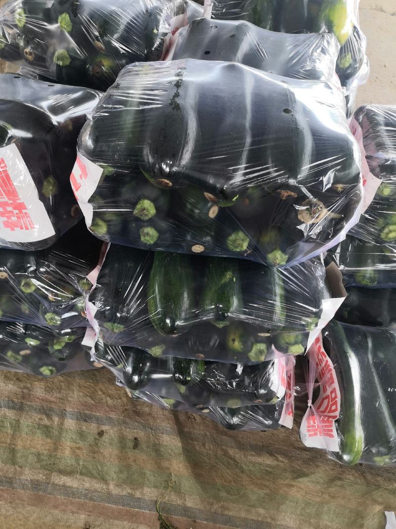 黑青皮菜南瓜，本地人称为小北瓜，全国发货！