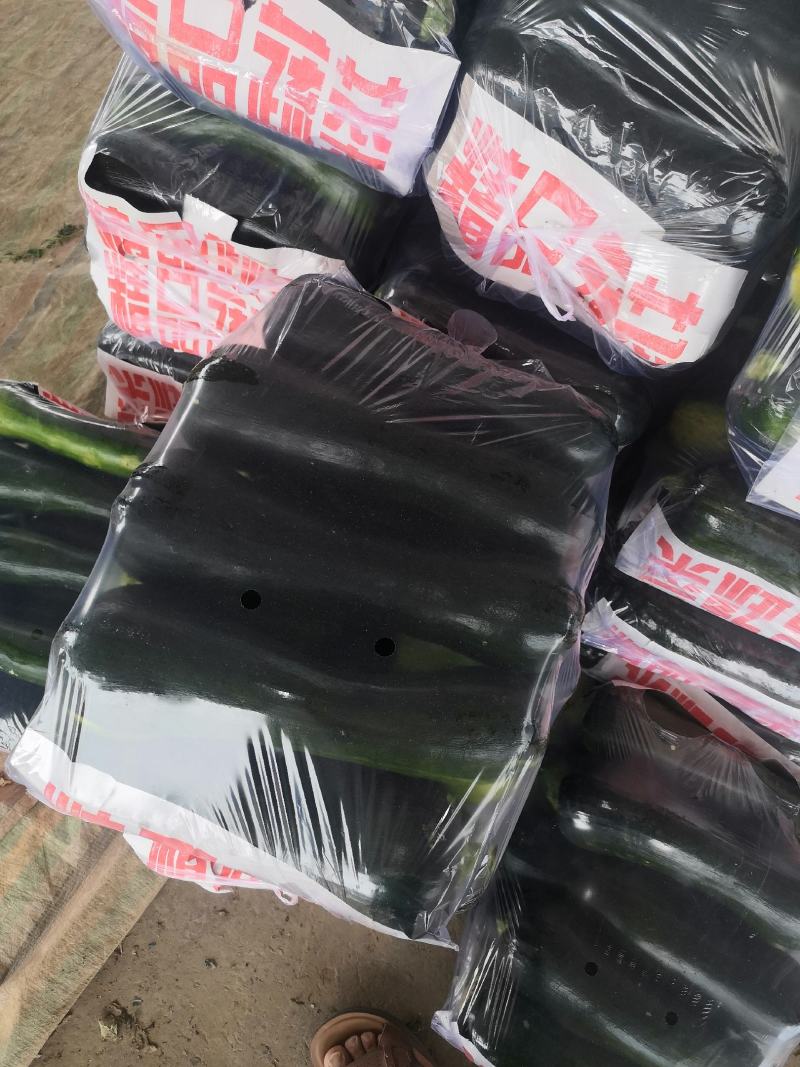 黑青皮菜南瓜，本地人称为小北瓜，全国发货！