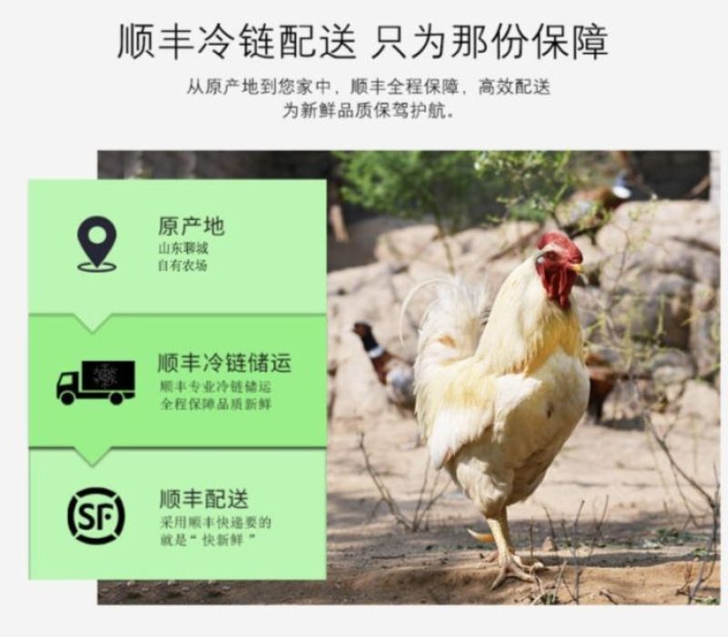 山东大公鸡现杀土公鸡农村散养老公鸡杂粮喂养新鲜鸡肉包邮
