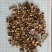 桂枝(包邮)，3斤起批发零售量大从优各种规格都有