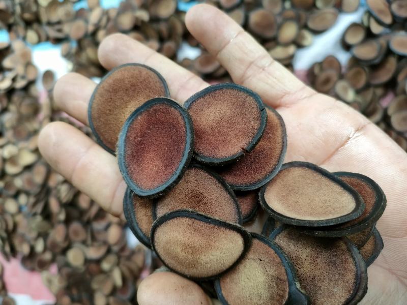 鹿茸片吉林特产鹿茸片粉片鹿茸红粉片