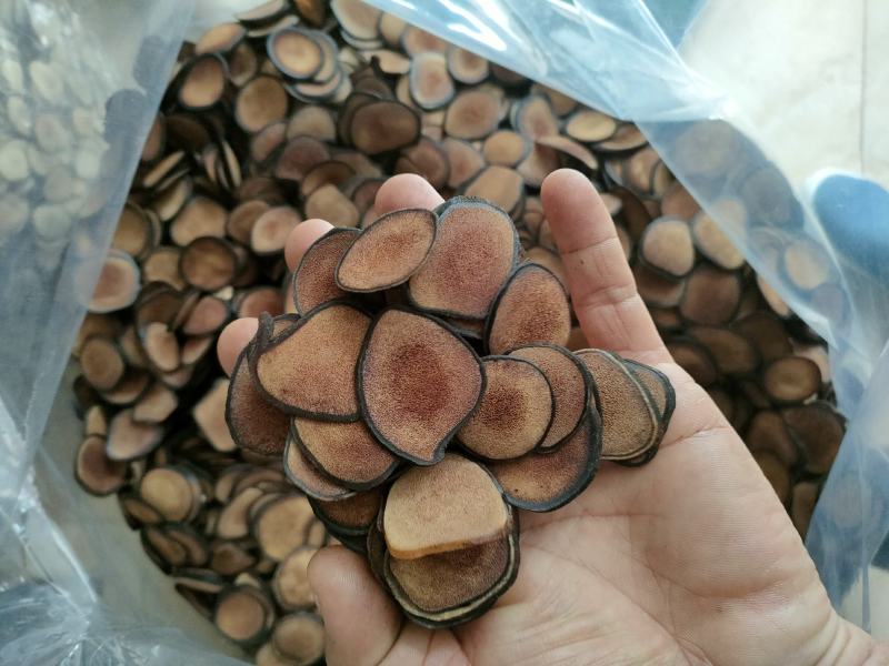 鹿茸片吉林特产鹿茸片粉片鹿茸红粉片