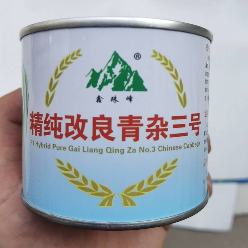 冬储大白菜种子青杂三号，抗病高产耐寒越冬秋播黄心基地专用