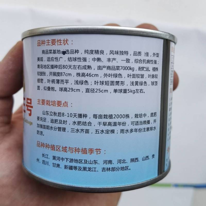 冬储大白菜种子青杂三号，抗病高产耐寒越冬秋播黄心基地专用