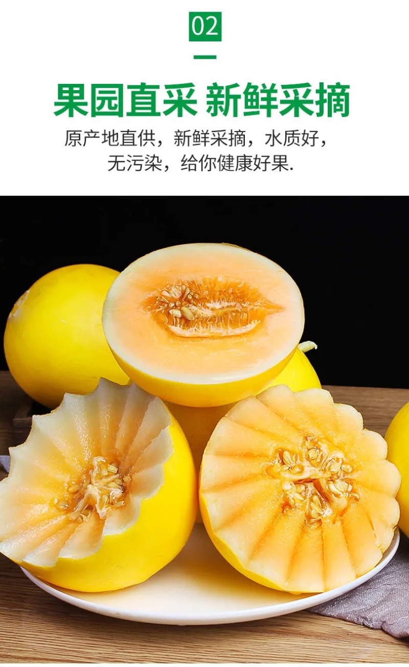 甘肃民勤沙漠黄河蜜
