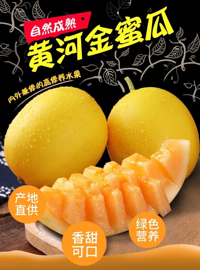 甘肃民勤沙漠黄河蜜