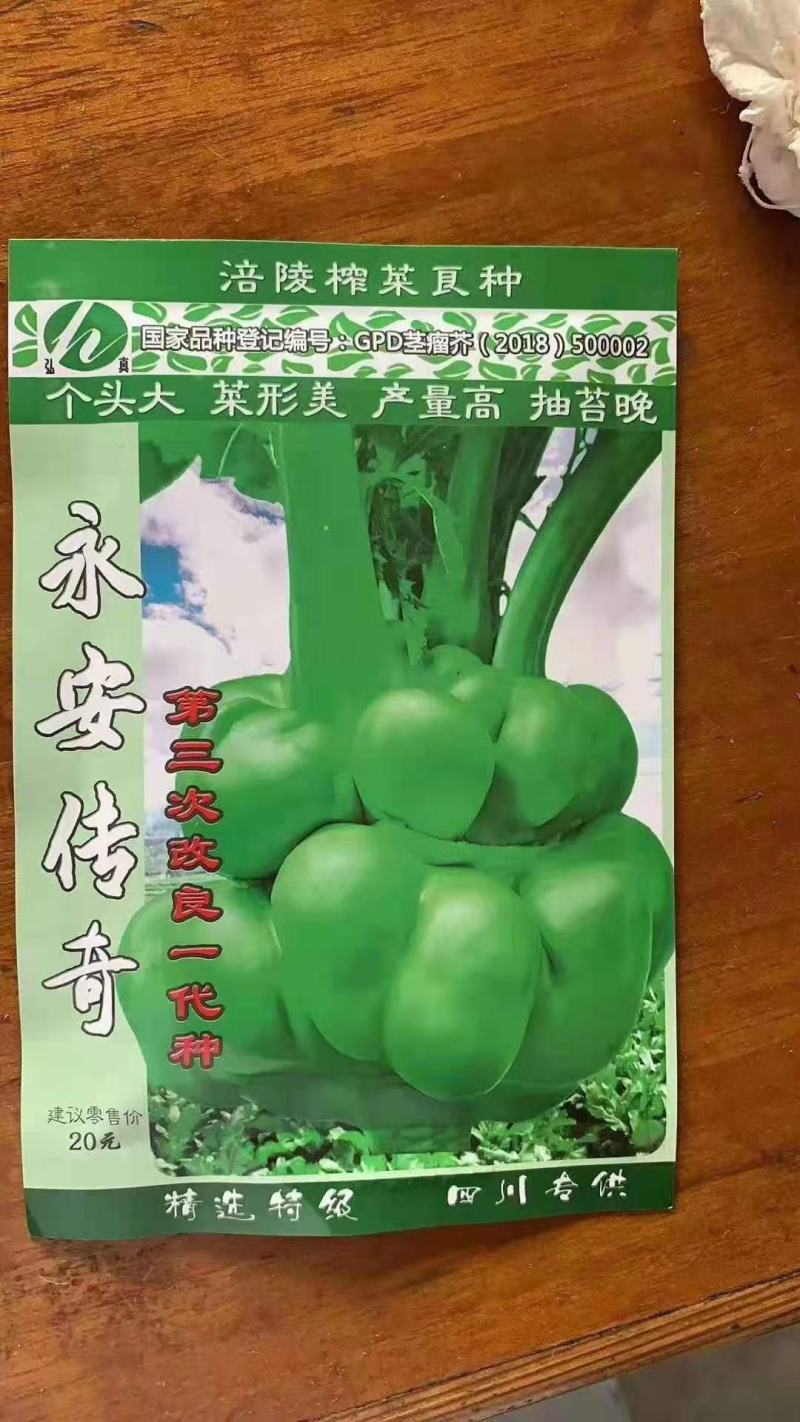 榨菜，种子大量有货，有需要的随时联系，班导砍榨菜，榨菜