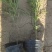 波斯菊波斯菊基地常年供应花开多色