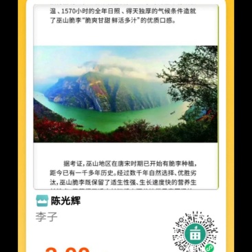李子