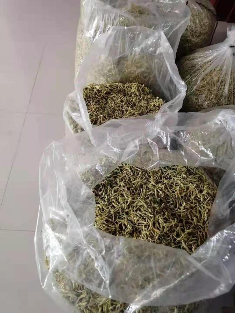 中药材金银花