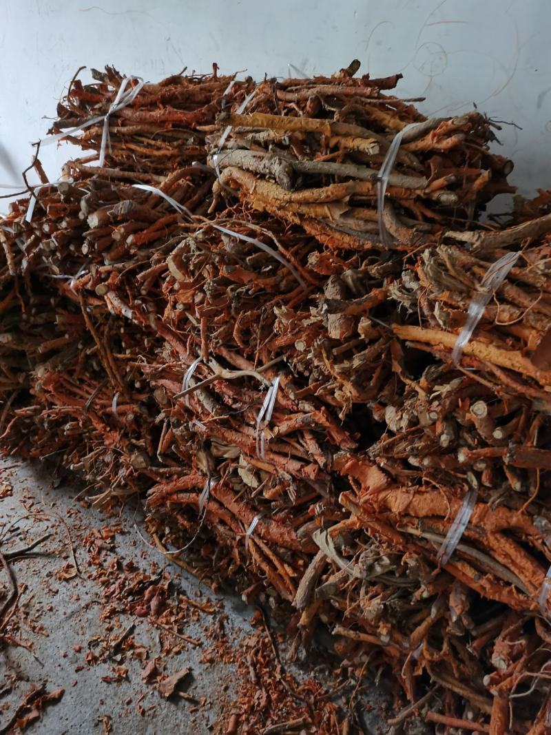 野生穿破石，广西九重皮，长年有货