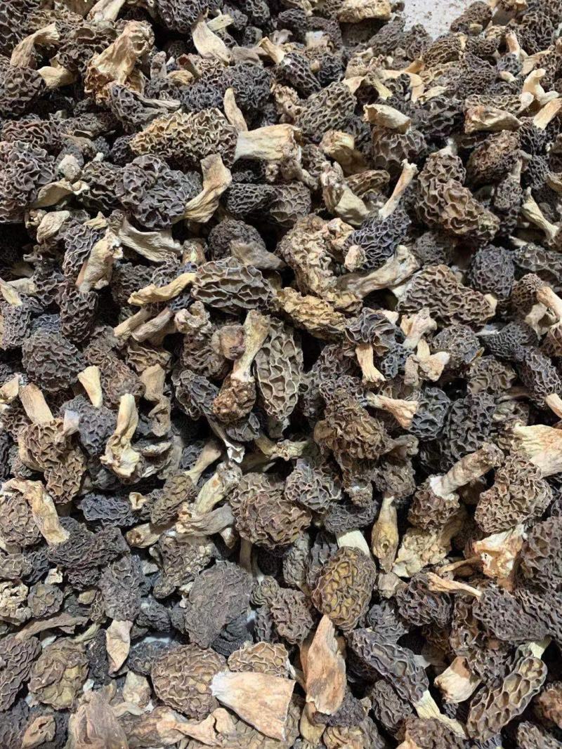 羊肚菌野生货实物拍摄自己下乡收一手货源各种规格