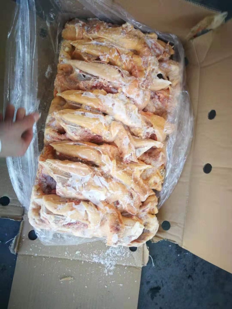 小胸架（肉食鸡小胸架质量好）