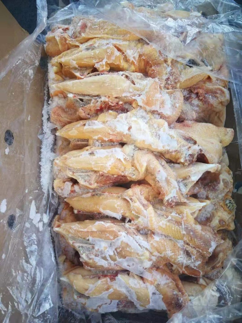 小胸架（肉食鸡小胸架质量好）