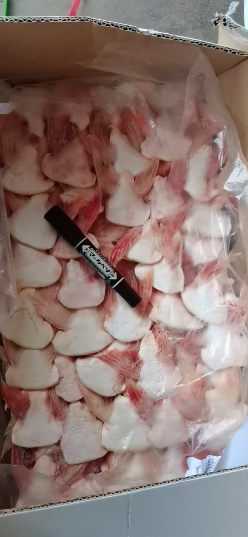 巴沙鱼鱼鳍20斤/件适合工厂加工食堂烧烤店酒楼