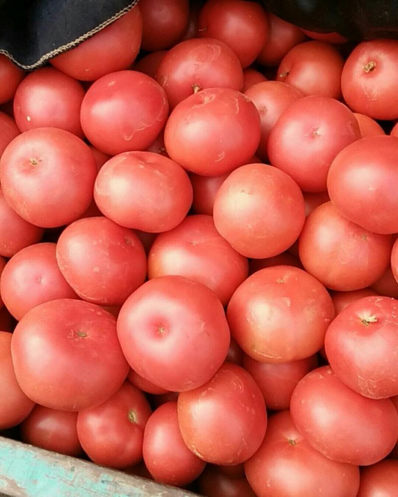 工厂食堂商超
