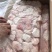 干冰巴沙鱼腩20斤/件，板冻适合工厂加工和烧烤自用