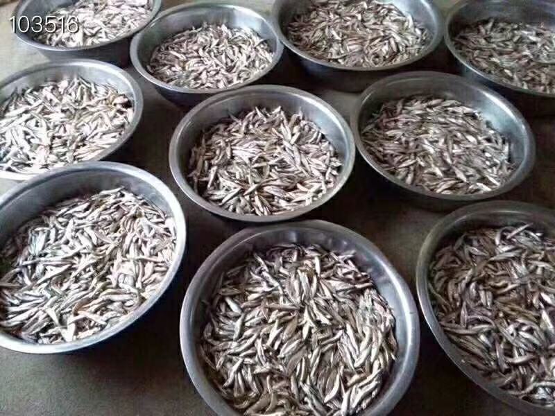 河源油炸鱼仔油炸鱼小干油炸鱼仔即食万绿湖油炸鱼仔