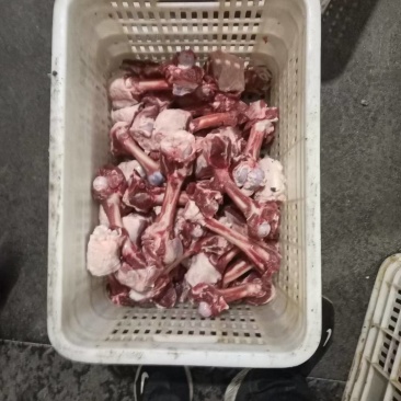 羊棒骨