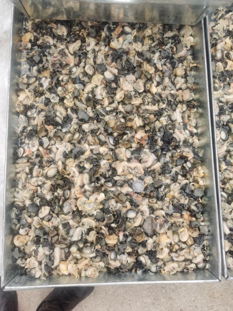 螺蛳肉螺蛳粉专用螺肉3中规格