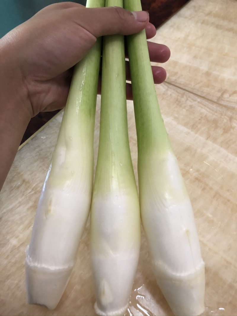 德清上半年双季茭白