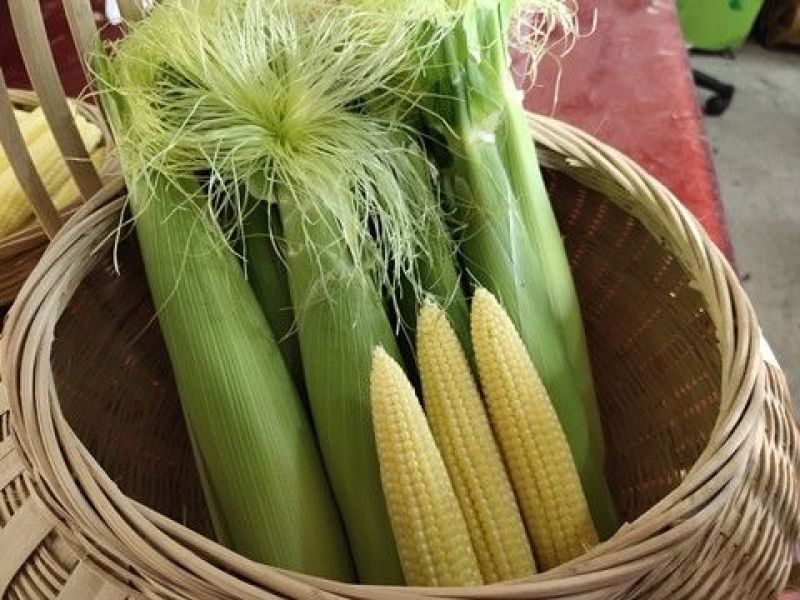 现摘现发玉米笋脆甜嫩小玉米芯仔新鲜批发包邮。