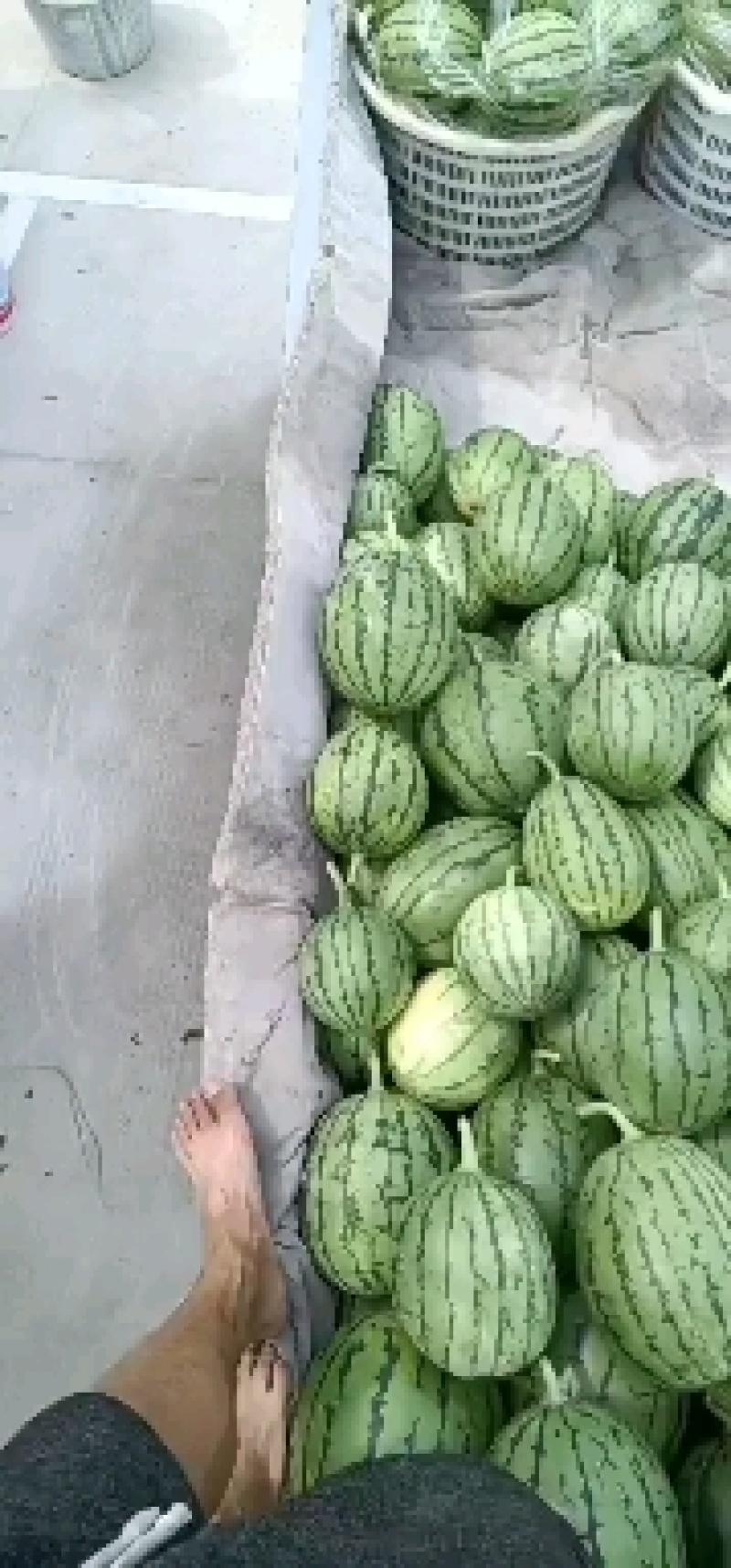 杭州萧山早春红玉小西瓜早春红玉，拿比特大棚小西瓜