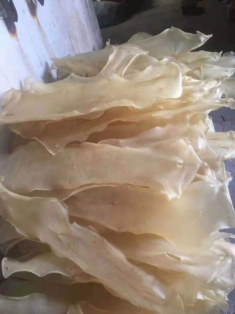 质量好的干猪皮，大量上市，一手货源，诚信经营
