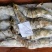 每盒净重1斤8条大虎虾新鲜海捕急冻特大鬼虾草虾鲜甜美味
