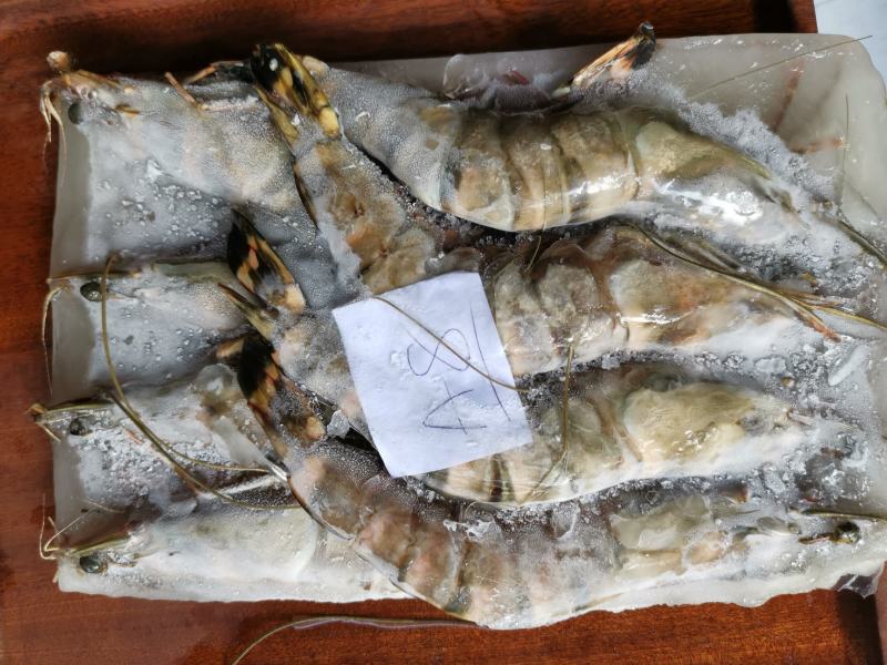 每盒净重1斤8条大虎虾新鲜海捕急冻特大鬼虾草虾鲜甜美味