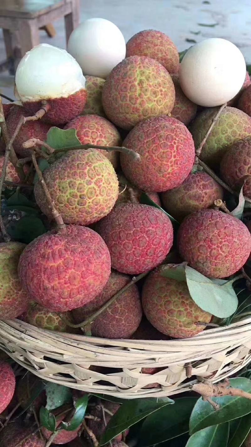 各各品种荔枝大量上市了