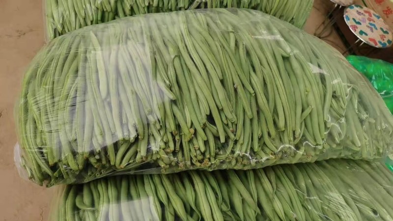 甘肃武山无筋架豆王大量上市中，质量优，价格合适，产地直发