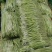 甘肃武山无筋架豆王大量上市中，质量优，价格合适，产地直发