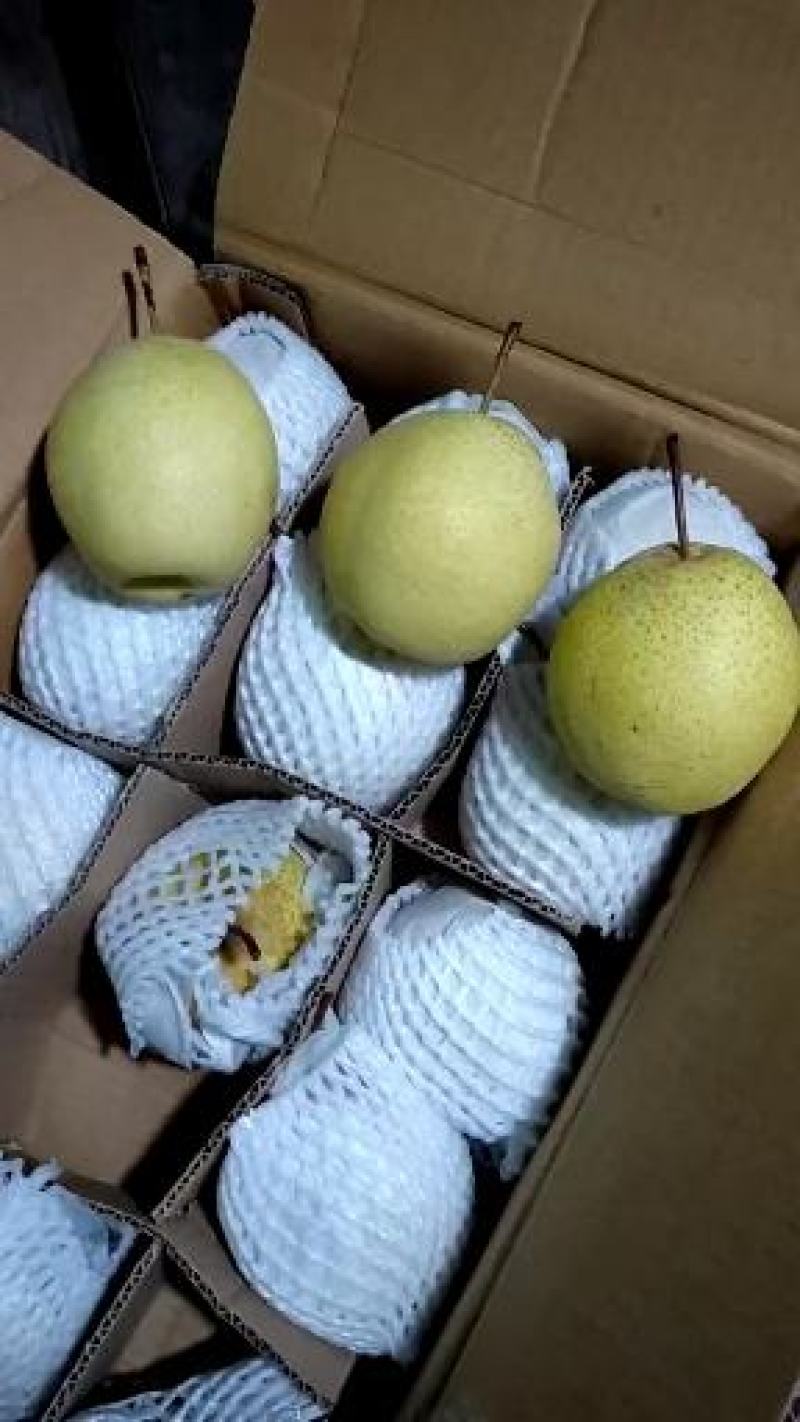 💛雪梨🔥🔥🔥冰糖雪梨甜脆可口产地批发耐运输