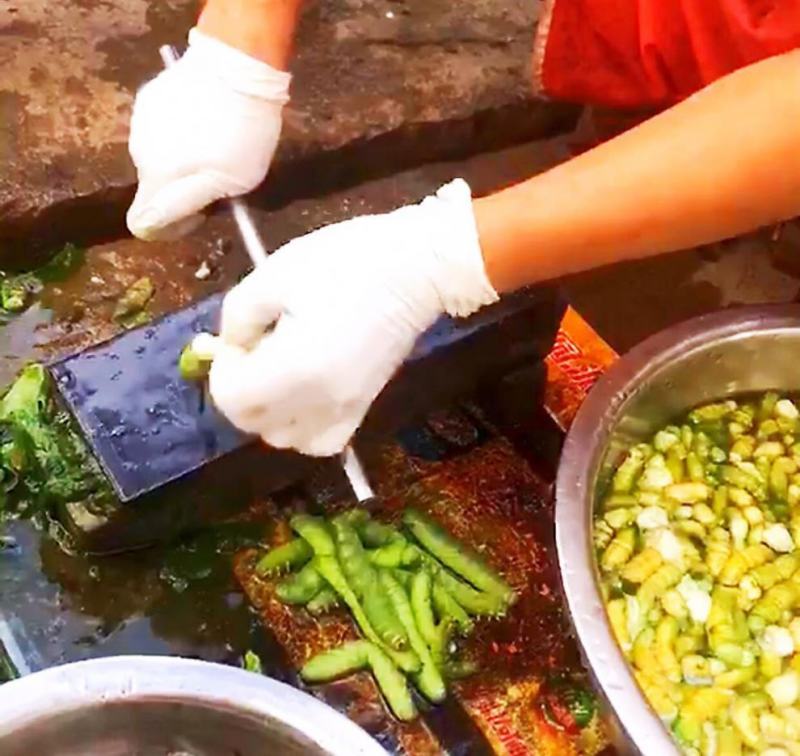 豆虫肉，豆丹肉，豆虫，豆青虫