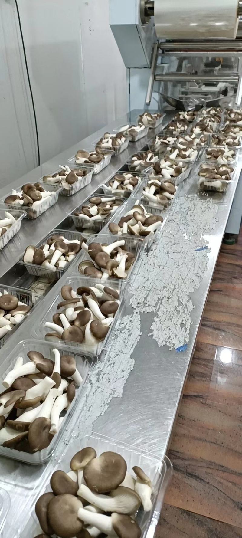 秀珍菇